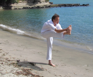 Head to knee pose II